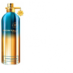 MONTALE AOUD LAGOON 100ml