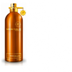 MONTALE AOUD MELODY 100ml