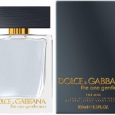 Dolce & Gabbana The One Gentleman